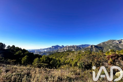 Terreno in vendita a Tarbena, Alicante, Spagna 12058 mq. N° 185499 - foto 5