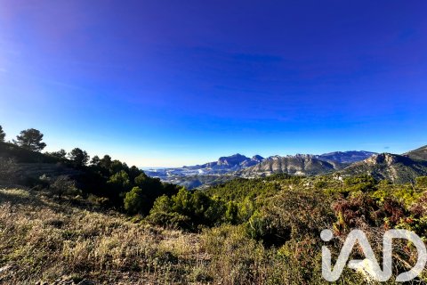 Terreno in vendita a Tarbena, Alicante, Spagna 12058 mq. N° 185499 - foto 3