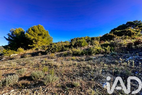 Terreno in vendita a Tarbena, Alicante, Spagna 12058 mq. N° 185499 - foto 7