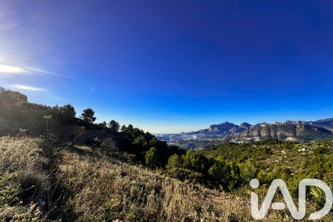 Terreno in vendita a Tarbena, Alicante, Spagna 12058 mq. N° 185499 - foto 6