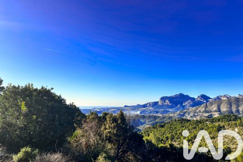 Land in Tarbena, Alicante, Spanien 12058 m2 Nr. 185499