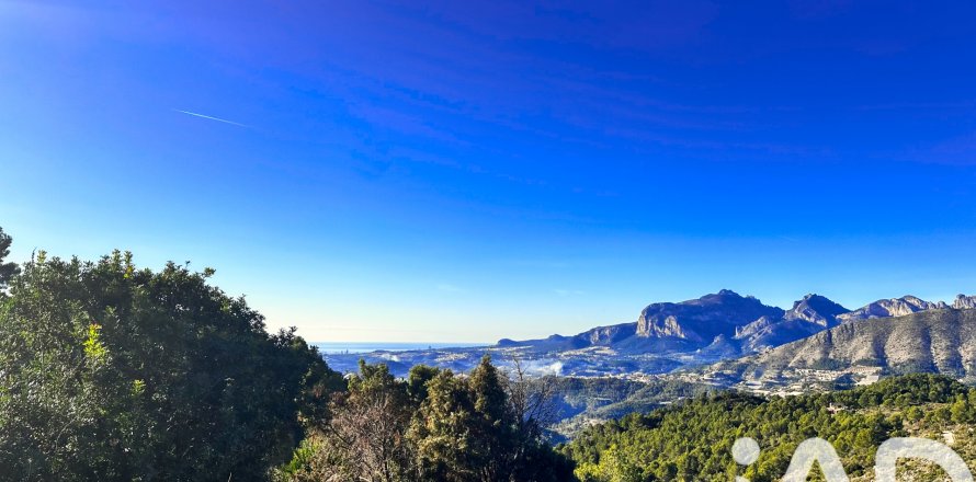 Terreno a Tarbena, Alicante, Spagna 12058 mq. N° 185499