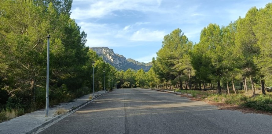 Land plot in Vandellòs i l'Hospitalet de l'Infant, Tarragona, Spain 768 sq.m. No. 185376