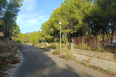 Land plot for sale in Vandellòs i l'Hospitalet de l'Infant, Tarragona, Spain 768 sq.m. No. 185376 - photo 8