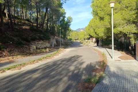 Terreno in vendita a Vandellòs i l'Hospitalet de l'Infant, Tarragona, Spagna 1375 mq. N° 185377 - foto 7