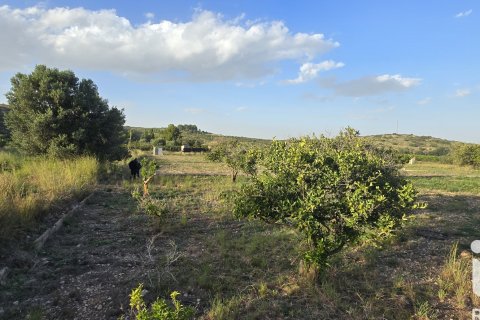 Land plot for sale in El Verger, Alicante, Spain 7695 sq.m. No. 185498 - photo 20