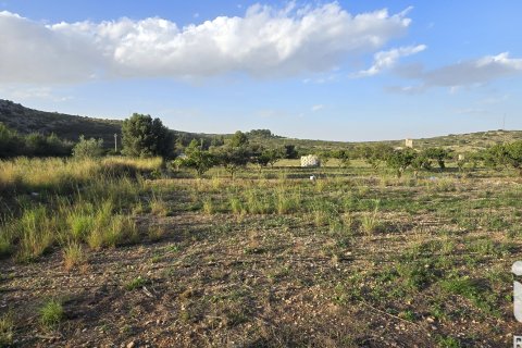 Land plot for sale in El Verger, Alicante, Spain 7695 sq.m. No. 185498 - photo 14