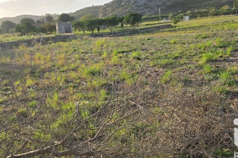 Land plot for sale in El Verger, Alicante, Spain 7695 sq.m. No. 185498 - photo 8