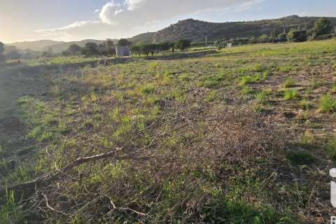 Land plot for sale in El Verger, Alicante, Spain 7695 sq.m. No. 185498 - photo 7