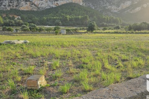 Land plot for sale in El Verger, Alicante, Spain 7695 sq.m. No. 185498 - photo 4