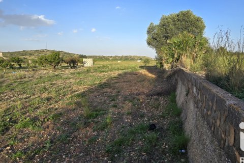 Land plot for sale in El Verger, Alicante, Spain 7695 sq.m. No. 185498 - photo 13
