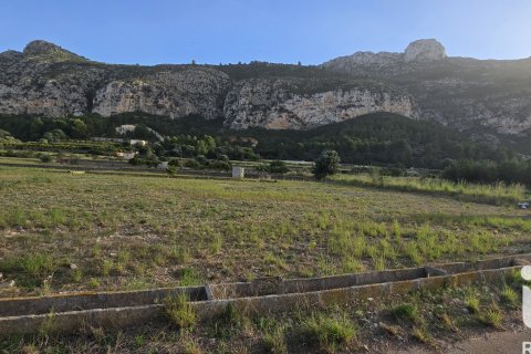 Land plot for sale in El Verger, Alicante, Spain 7695 sq.m. No. 185498 - photo 3