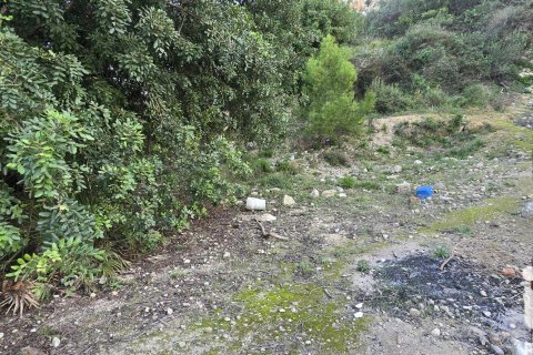 Land plot for sale in El Verger, Alicante, Spain 7695 sq.m. No. 185498 - photo 23