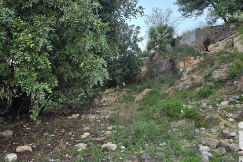 Land plot for sale in El Verger, Alicante, Spain 7695 sq.m. No. 185498 - photo 29