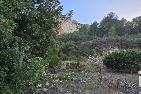 Land plot for sale in El Verger, Alicante, Spain 7695 sq.m. No. 185498 - photo 26