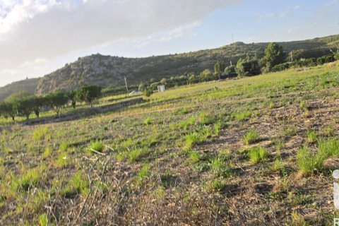 Land plot for sale in El Verger, Alicante, Spain 7695 sq.m. No. 185498 - photo 10