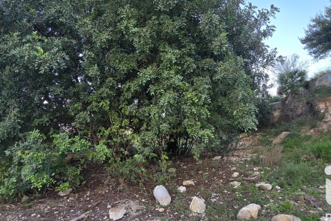 Land plot for sale in El Verger, Alicante, Spain 7695 sq.m. No. 185498 - photo 27