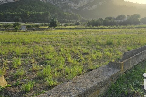 Land plot for sale in El Verger, Alicante, Spain 7695 sq.m. No. 185498 - photo 2