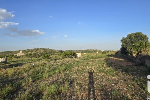 Land plot for sale in El Verger, Alicante, Spain 7695 sq.m. No. 185498 - photo 15