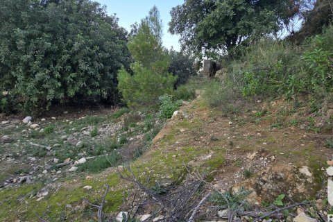 Land plot for sale in El Verger, Alicante, Spain 7695 sq.m. No. 185498 - photo 24