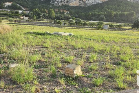 Land plot for sale in El Verger, Alicante, Spain 7695 sq.m. No. 185498 - photo 5