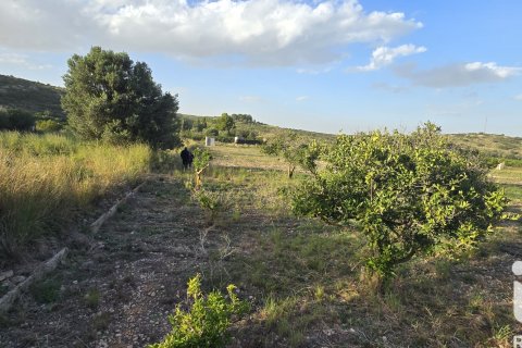 Land plot for sale in El Verger, Alicante, Spain 7695 sq.m. No. 185498 - photo 21