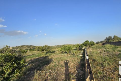 Land plot for sale in El Verger, Alicante, Spain 7695 sq.m. No. 185498 - photo 18