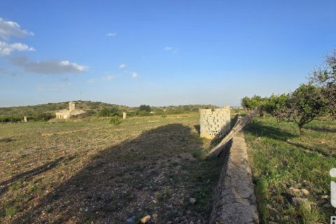 Land plot for sale in El Verger, Alicante, Spain 7695 sq.m. No. 185498 - photo 22