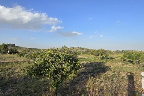 Land plot for sale in El Verger, Alicante, Spain 7695 sq.m. No. 185498 - photo 19