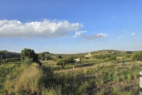 Land plot for sale in El Verger, Alicante, Spain 7695 sq.m. No. 185498 - photo 17
