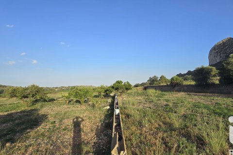 Land plot for sale in El Verger, Alicante, Spain 7695 sq.m. No. 185498 - photo 11