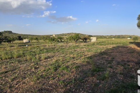 Land plot for sale in El Verger, Alicante, Spain 7695 sq.m. No. 185498 - photo 12