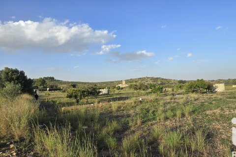 Land plot for sale in El Verger, Alicante, Spain 7695 sq.m. No. 185498 - photo 16