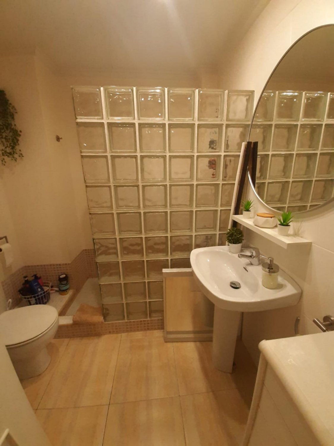 Huoneisto Torrevieja, Alicante, Espanja 3 makuuhuonetta, 1 m2 No. 112940