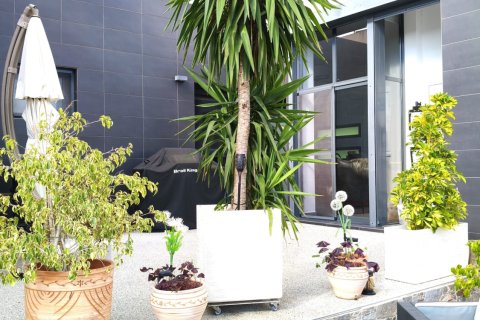 Kamienica w Alicante, Hiszpania 3 sypialnie, 168 mkw. nr 140301 – zdjęcie 22