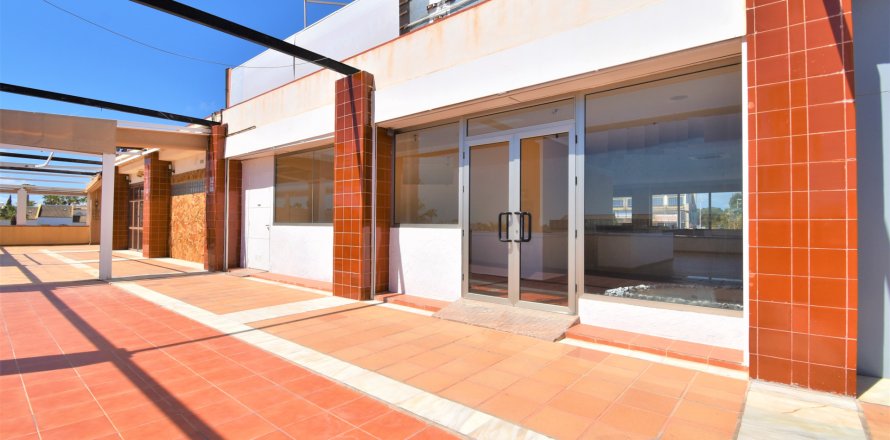 Lokal usługowy w Alicante, Hiszpania nr 140300