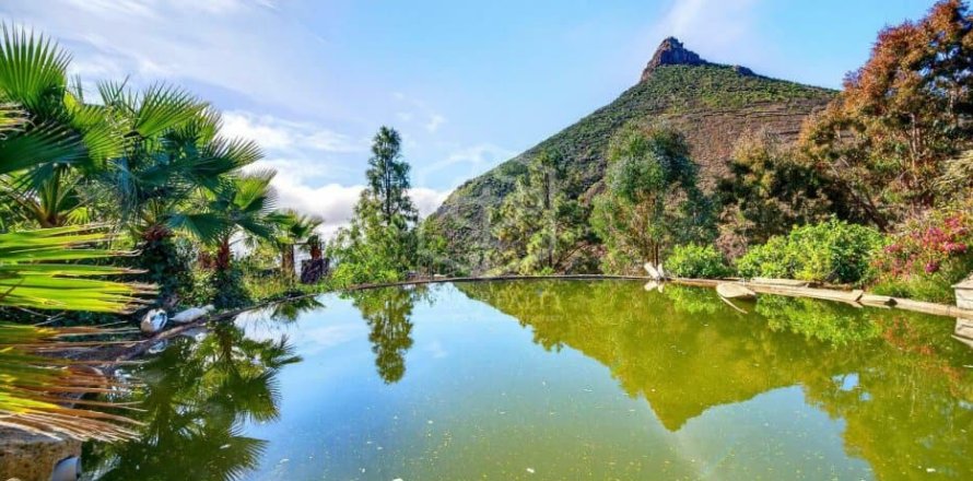 Willa w Vilaflor, Tenerife, Hiszpania nr 149899