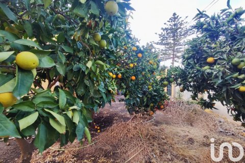 Działka w Marbella, Malaga, Hiszpania 620 mkw. nr 153858 – zdjęcie 4