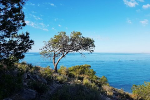 Apartment for sale Villajoyosa, Alicante, Spain 1 bedroom, 48 sq.m. No. 113671 - photo 14