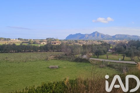 House for sale in Alcudia, Mallorca, Spain 4 bedrooms, 441 sq.m. No. 152824 - photo 25