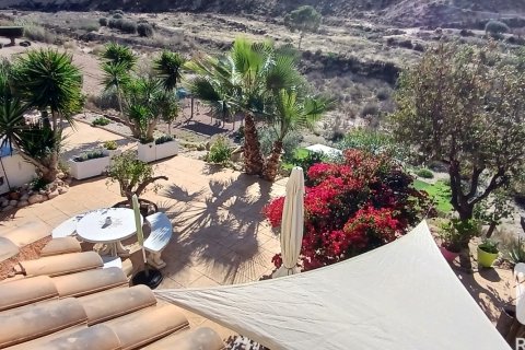 Dom w Abanilla, Murcia, Hiszpania 4 sypialnie, 244 mkw. nr 152827 – zdjęcie 18