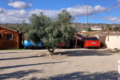 Dom w Abanilla, Murcia, Hiszpania 4 sypialnie, 244 mkw. nr 152827 – zdjęcie 24