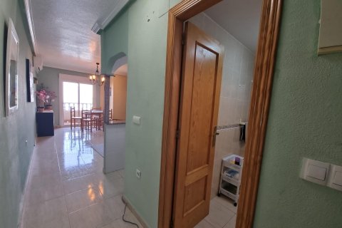 Appartamento in vendita a Torrevieja, Alicante, Spagna 2 camere da letto, 53 mq. N° 184260 - foto 3