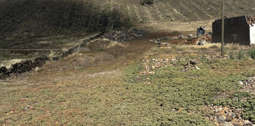 Zemes gabals Tias, Lanzarote, Spānijā 1300 m2 Nr. 188160