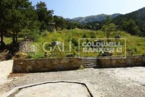 Huvila myytävänä Principado De Andorra (Ninguna Poblacion Tiene C.P.), Lleida, Espanja, 4 makuuhuonetta, 405 m2 No. 160354 - kuva 21