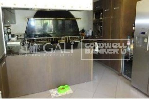 Huvila myytävänä Principado De Andorra (Ninguna Poblacion Tiene C.P.), Lleida, Espanja, 4 makuuhuonetta, 405 m2 No. 160354 - kuva 18