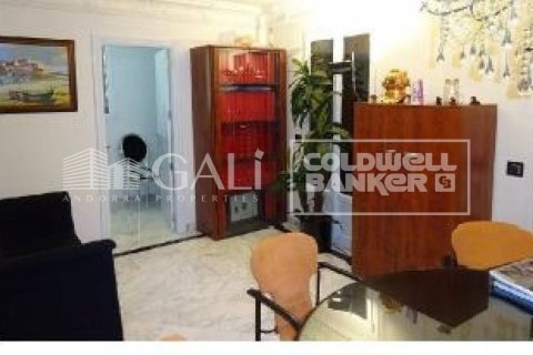 Huvila myytävänä Principado De Andorra (Ninguna Poblacion Tiene C.P.), Lleida, Espanja, 4 makuuhuonetta, 405 m2 No. 160354 - kuva 16