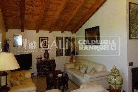 Villa à vendre à Principado De Andorra (Ninguna Poblacion Tiene C.P.), Lleida, Espagne, 4 chambres, 405 m2 No. 160354 - photo 3