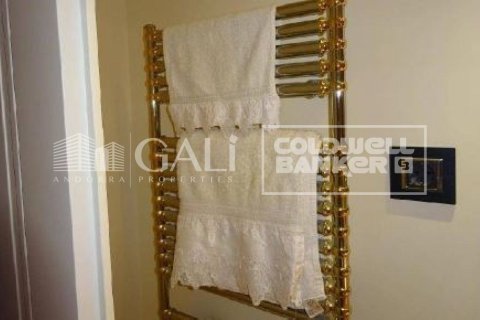 Huvila myytävänä Principado De Andorra (Ninguna Poblacion Tiene C.P.), Lleida, Espanja, 4 makuuhuonetta, 405 m2 No. 160354 - kuva 10