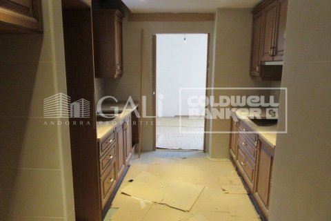 House for sale in Principado De Andorra (Ninguna Poblacion Tiene C.P.), Lleida, Spain 4 bedrooms, 335 sq.m. No. 160353 - photo 21